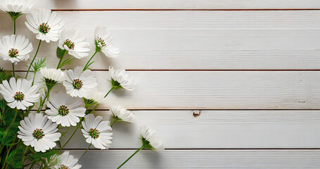 Białe kwiaty na desce, puste miejsce. Pastelowe tło kwiatowe - obrazy, fototapety, plakaty