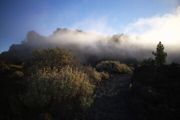 misty morning in the mountains