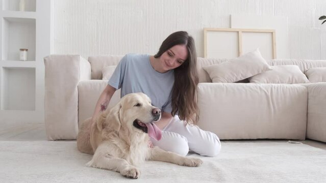 Young woman have fun with her pedigree Labrador Retriever dog together at home