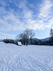 a house in the mountains in winter. snowy winter