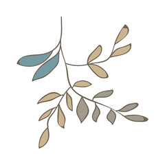 leaf isolated on white