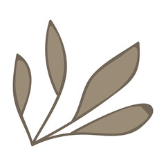 leaf isolated on white