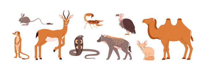 African desert animals, set of cartoon vector illustration on white