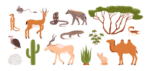 Obraz premium Desert animals and plants set.