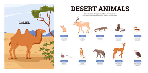Naklejka premium Desert creature with animals and birds name, camel, fennec, jerboa,cobra, different exotic wild tropical habitants