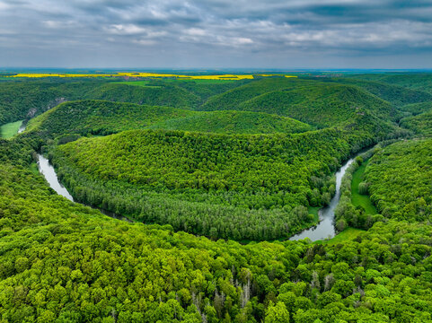 Aerial view of the curves in the Thaya river and the forests in Thayatal National Park with canola fields in Czech Republic, Merkersdorf, Lower Austria, Austria.