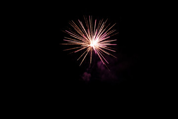 Fototapeta premium Firework. Colorful festive fireworks, standing out against the black sky. A shot of a bright fireworks explosion. Explosion. Firework. An overlay. new year. christmas, independence day, birthday, holi