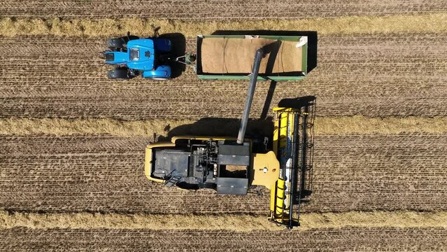Aerial view of a thresher and a tractor, heavy duty machinery for agricultural farm working harvesting the grain in a field, Brandenburg, Germany.