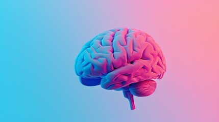 Pink and Blue Human Brain Image, Anatomy, Science, Health, Research, Knowledge, Cerebral, Intelligence, Nervous