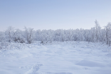 Abisko National Park (Abisko nationalpark) in winter scenery. Sweden, Arctic Circle, Swedish Lapland