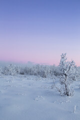 Abisko National Park (Abisko nationalpark) in winter scenery. Sweden, Arctic Circle, Swedish Lapland