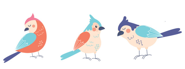Set of cute birds. Collection of birds. Vector illustration. Spring summer birds