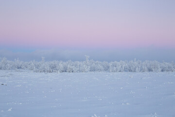 Abisko National Park (Abisko nationalpark) in winter scenery. Sweden, Arctic Circle, Swedish Lapland