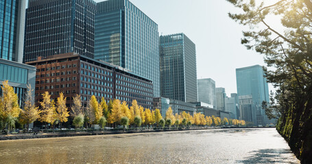 City, buildings and river on landscape, skyline and trees on sidewalk for sustainability in metro....