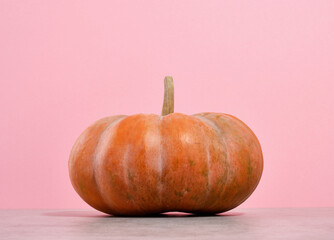 A ripe pumpkin for halloween. Scary party and horror.