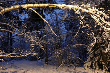 Winter Pictures From Sweden