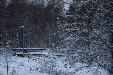 Winter Pictures From Sweden