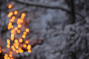 Blurred Bokeh Winter Photos