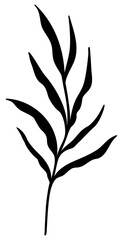 Leaf Silhouette Design | Original Hand Drawn Vector Plant 