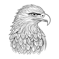 Eagle head illustration coloring page - coloring book