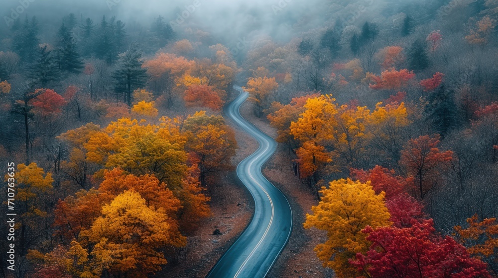 Poster an aerial view of a winding road in the middle of a forest with trees with yellow and red leaves on 