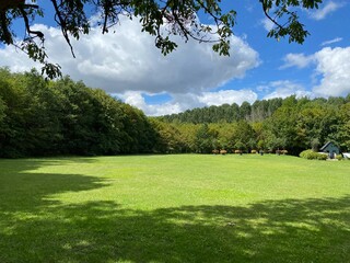 golf course in the morning