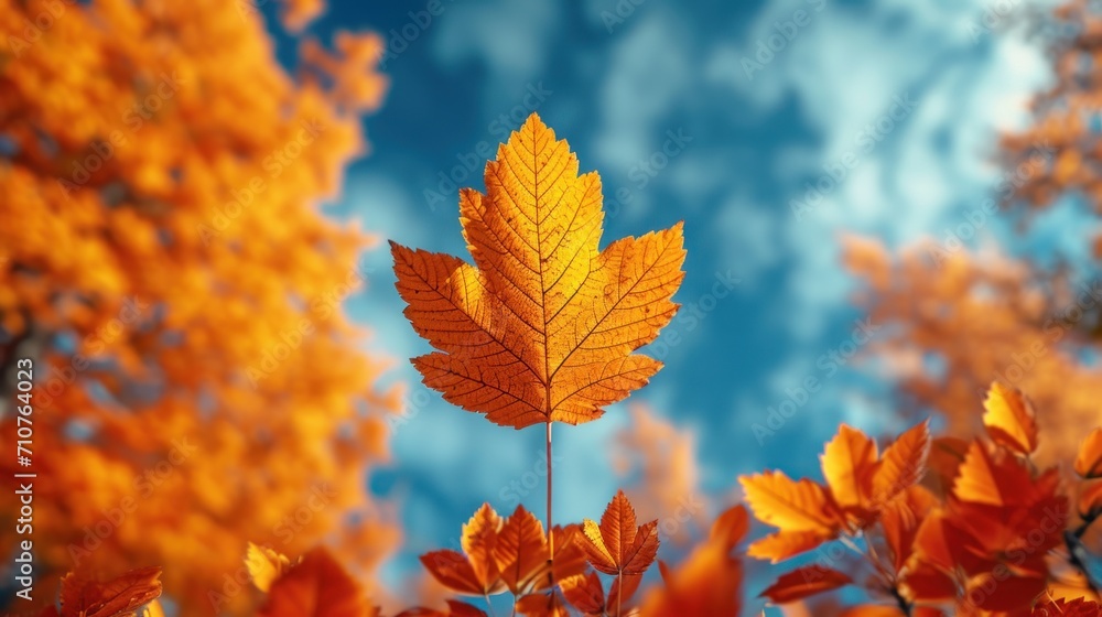 Poster a close up of a leaf in the foreground and a blue sky in the background with clouds in the backgroun
