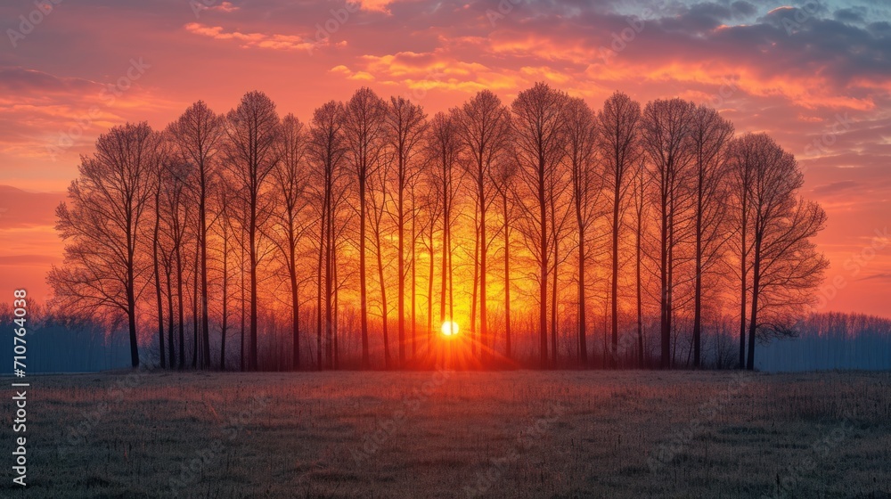 Poster a sunset in the middle of a field with a line of trees in the foreground and a red sky in the backgr