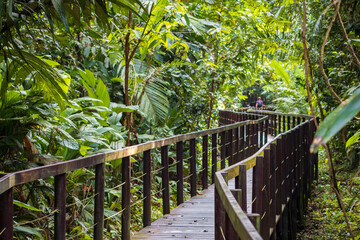 Cahuita National Park near Puerto Viejo de Talamanca (Costa Rica)