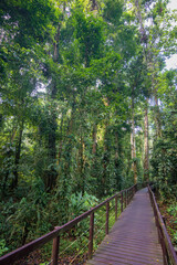 Cahuita National Park near Puerto Viejo de Talamanca (Costa Rica)
