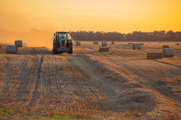 Combine harvester pressing straw from field into bales driving field on sunny summer evening. Field...