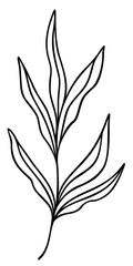 Leaf Line Art | Elegant Leaves | Botanical Plant Vector Artwork