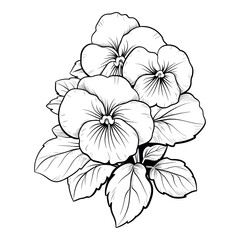 Flowers illustraation coloring page - coloring book