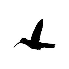 Flying Hummingbird Silhouette, can use Art Illustration, Website, Logo Gram, Pictogram or Graphic Design Element. Vector Illustration
