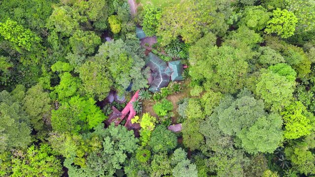 Video a&eacute;reo donde se observan los bosques del Choc&oacute;, en el litoral Pac&iacute;fico de Colombia. Igualmente se observan construcciones entre los &aacute;rboles.