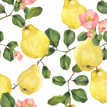 Watercolor quince seamless pattern. Quince fruits, leaves and flowers. Hand drawn on black background perfect for packaging, invitations