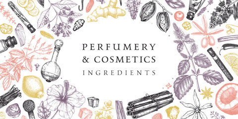 Perfumery and cosmetics ingredients banner. Flower, fruit, spice, herb sketches. Hand drawn vector illustration. Cosmetics design template. Aromatic plants background - obrazy, fototapety, plakaty