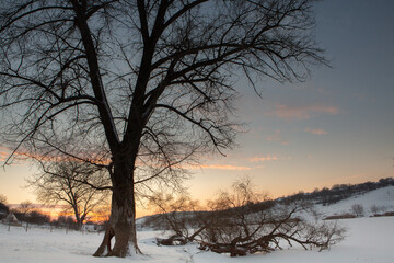 Fototapeta na wymiar Frosty winter in Russia. Beautiful sunrise in Siberia. Cold winter photo. 