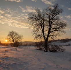 Frosty winter in Russia. Beautiful sunrise in Siberia. 
Cold winter photo.
