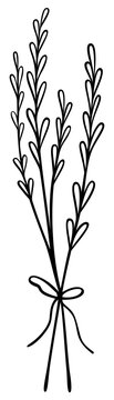 recommend clip art: Lavender Flower Line Art | Botanical Bouquet | Elegant Nature Outline