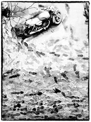 Fototapete bei efototapeten.de bestellen   