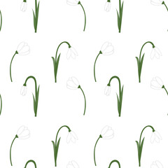 Fototapeta na wymiar Vector seamless pattern with white snowdrop flowers and green leaves on a white background. Botanical illustration. Field of snowdrops. 