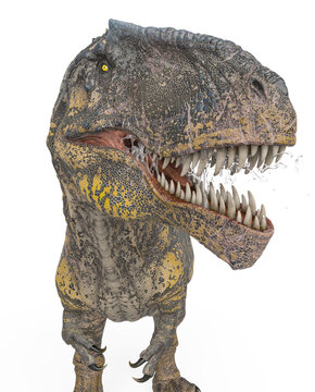 giganotosaurus id profile picture on white background