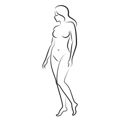 Fototapeta premium Silhouette of a nice lady, she is standing. The girl has a beautiful naked figure. The woman is a young sexy and slender model. Vector illustration.