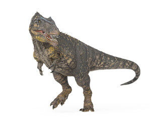 giganotosaurus is walking and also looking back on white background © DM7