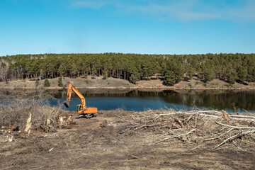 the process of clearing trees on the riverbank, freeing up space for the park