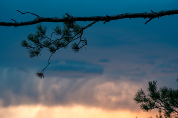 cloudy sky during sunset in the background
