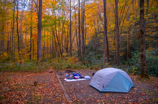 Tent set up at a primitive campground amoung vibrant autumn colors in the Blue Ridge Mountains