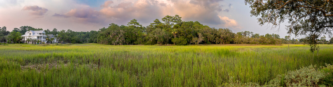 Wide panorama of the coastal salt marsh and forest with houses along the coast of South Carolina