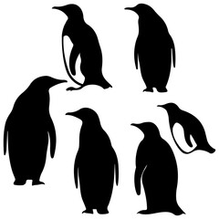 Penguin's black silhouette is set on a white background. Cute penguin vector illustration